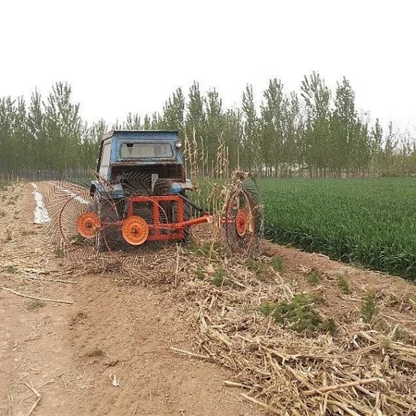 Farm machinery tractor wheel hayrake export to Africa