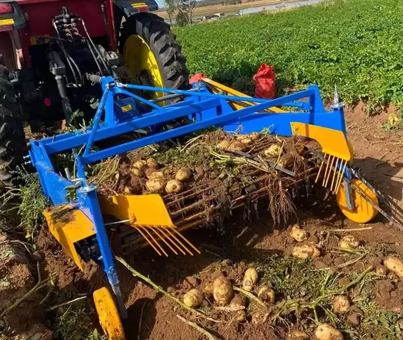 How Does a Potato Harvester Work How Does a Potato Harvester Work