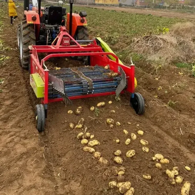 Potato Harvester for Harvesting Potatoes-1 Potato Harvester for Harvesting Potatoes