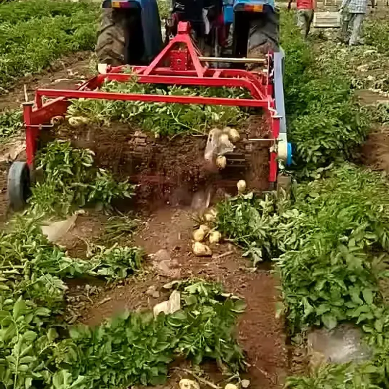 Potato Harvester for Harvesting Potatoes-2 Potato Harvester for Harvesting Potatoes