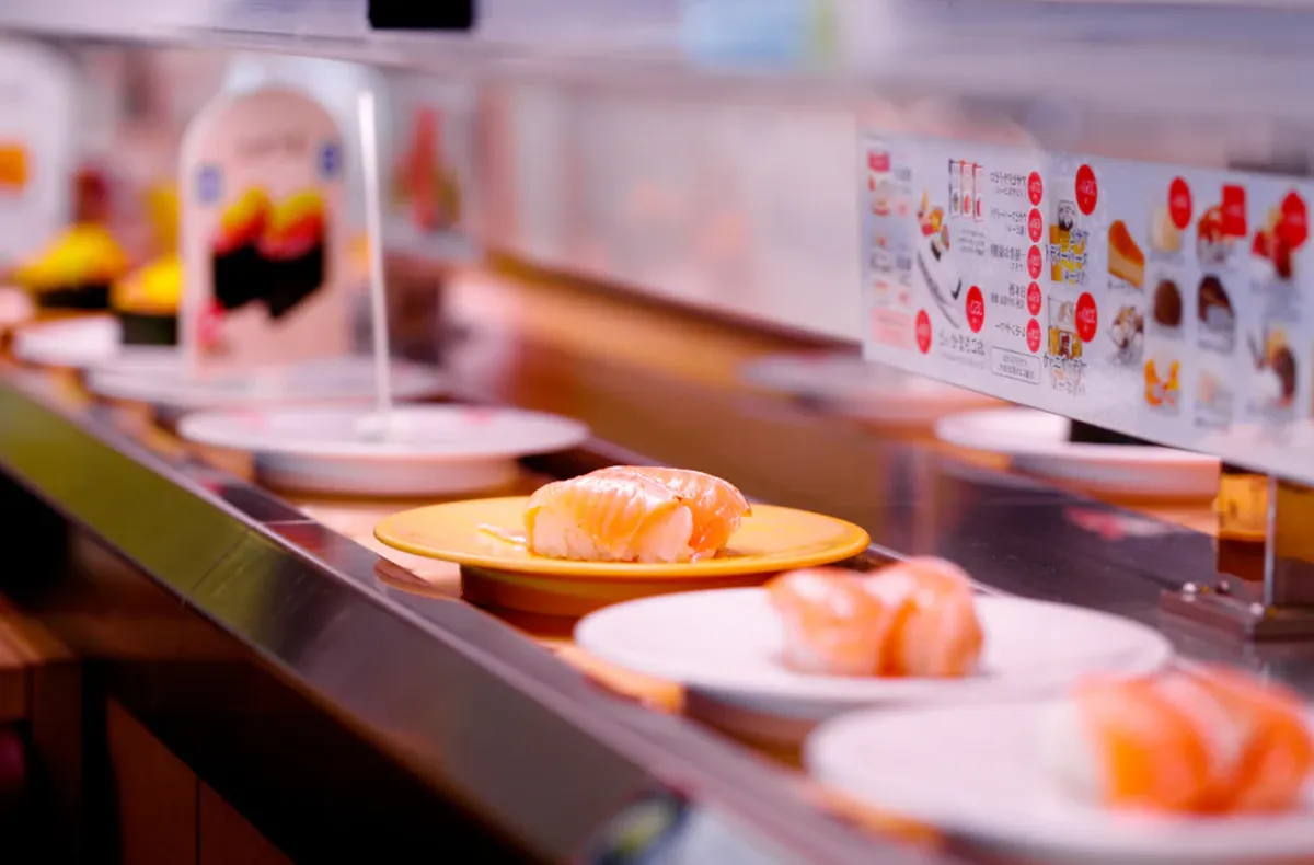 Stainless Steel Sushi Chain Applications