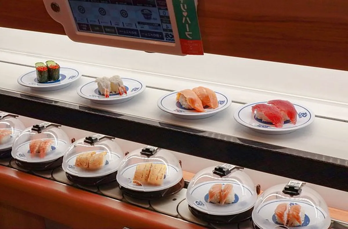 Stainless Steel Sushi Chain Applications