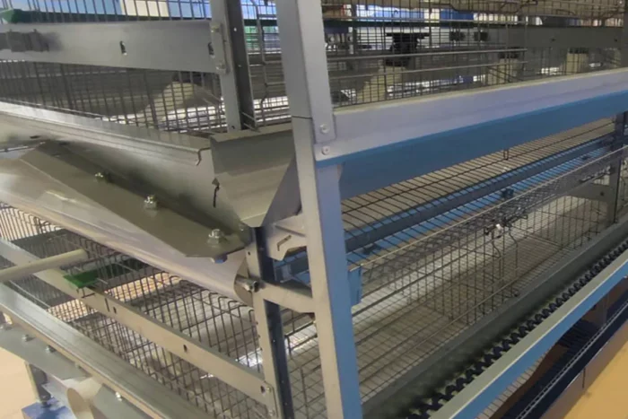 Chicken Feed Chain for Cage Equipment