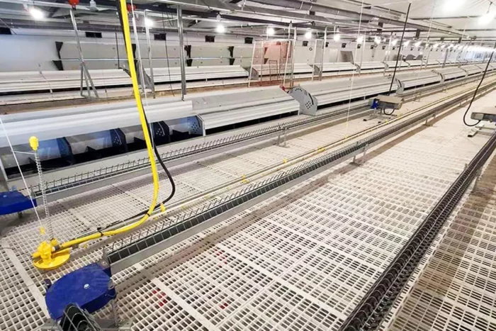 Chicken Feed Chain for Feed Processing Plant