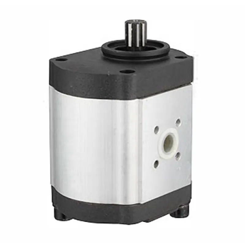 72277154 Hydraulic Gear Pump for Massey Ferguson Tractors 72277154 Hydraulic Gear Pump for Massey Ferguson Tractors